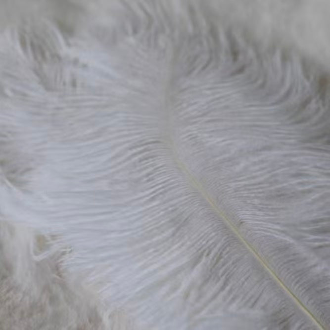 Handcrafted Faux Ostrich Feather Fan | Elegant Iridescent Shell-Like Ribs Vintage Style Decor for Wedding Bridal Party & Photo Prop ARCC1009